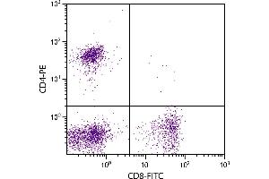 Feline peripheral blood lymphocytes were stained with Mouse Anti-Feline CD4-PE. (CD4 抗体  (PE))