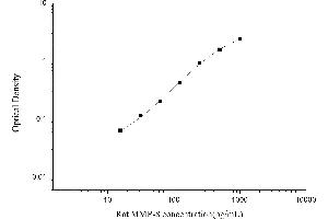 MMP8 ELISA 试剂盒