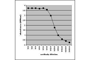 ELISA image for Mouse anti-Human IgA antibody (FITC) (ABIN2474234) (小鼠 anti-人 IgA Antibody (FITC))