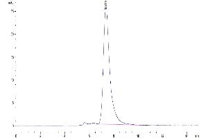 Size-exclusion chromatography-High Pressure Liquid Chromatography (SEC-HPLC) image for Leukocyte Immunoglobulin-Like Receptor, Subfamily B (With TM and ITIM Domains), Member 1 (LILRB1) protein (Fc Tag) (ABIN7275168)