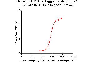 ELISA plate pre-coated by 2 μg/mL (100 μL/well) Human B7-H6, His tagged protein (ABIN6964097, ABIN7042449 and ABIN7042450) can bind Human NKp30, hFc tagged protein ABIN6961135, ABIN7042299 and ABIN7042300 in a linear range of 250-2000 ng/mL. (B7-H6 Protein (AA 25-262) (His tag))