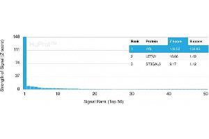 Analysis of Protein Array containing more than 19,000 full-length human proteins using Prolactin Mouse Monoclonal Antibody (PRL/2643). (Prolactin 抗体  (AA 63-201))