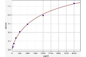 CXCL16 ELISA 试剂盒