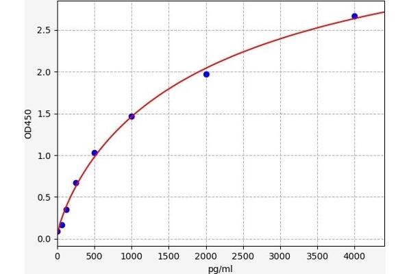 CXCL16 ELISA 试剂盒