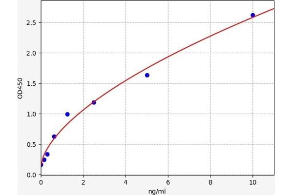 GPR37 ELISA 试剂盒