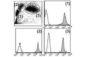 Flow Cytometry (FACS) image for anti-CD44 (CD44) antibody (PE) (ABIN1106383) (CD44 抗体  (PE))