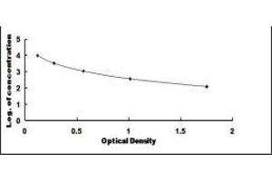 ELISA image for 1-Desamino 8D Arginine Vasopressin ELISA Kit (ABIN1118101) (1-Desamino 8D Arginine Vasopressin ELISA 试剂盒)