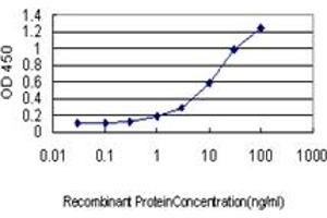 Image no. 2 for anti-CSE1 Chromosome Segregation 1-Like (CSE1L) (AA 872-972) antibody (ABIN465991) (Exportin 2 抗体  (AA 872-972))