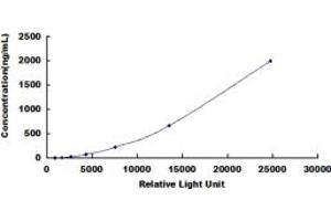 ELISA image for Fibrinogen CLIA Kit (ABIN491846) (Fibrinogen CLIA Kit)