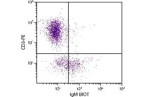 Chicken peripheral blood lymphocytes were stained with Mouse Anti-Chicken IgM-BIOT. (小鼠 anti-小鸡 IgM Antibody (Biotin))