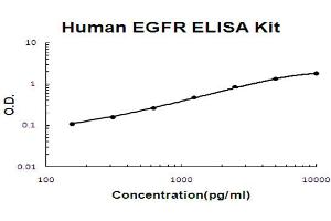 ELISA image for Epidermal Growth Factor Receptor (EGFR) ELISA Kit (ABIN6719788)