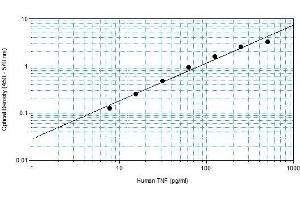 Enzyme Immunoassay (EIA) image for Tumor Necrosis Factor alpha (TNF alpha) ELISA Kit (ABIN2691004) (TNF alpha ELISA 试剂盒)