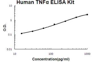 ELISA image for Tumor Necrosis Factor alpha (TNF alpha) ELISA Kit (ABIN6719738)