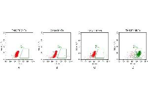 FACS analysis of TM4SF1 MNPs A. (TM4SF1 蛋白)