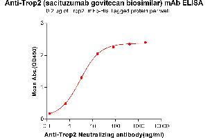 ELISA plate pre-coated by 2 μg/mL (100 μL/well) Human Trop2, mFc-His tagged protein ABIN6961178, ABIN7042385 and ABIN7042386 can bind Anti-Trop2 Neutralizing antibody in a linear range of 0. (Recombinant Trop2 (Sacituzumab Biosimilar) 抗体)