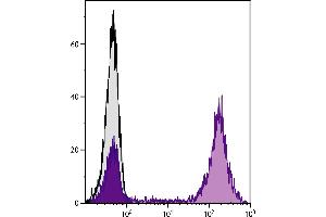 Human peripheral blood lymphocytes were stained with Mouse Anti-Human CD5-UNLB followed by Goat F(ab’)2 Anti-Mouse IgG2a, Human ads-PE. (山羊 anti-小鼠 IgG2a Antibody (PE) - Preadsorbed)