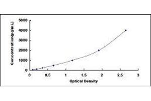 ELISA image for Indoleamine 2,3-Dioxygenase (IDO) ELISA Kit (ABIN6574282)