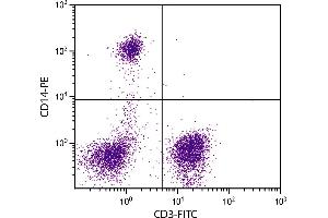 Human peripheral blood monocytes and lymphocytes were stained with Mouse Anti-Human CD14-PE. (CD14 抗体  (PE))