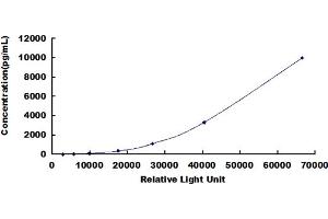 ELISA image for Lysozyme (LYZ) CLIA Kit (ABIN492274) (LYZ CLIA Kit)