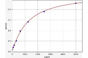 ADAMTS12 ELISA 试剂盒