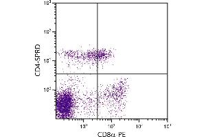 Porcine peripheral blood lymphocytes were stained with Mouse Anti-Porcine CD4-SPRD. (CD4 抗体  (SPRD))