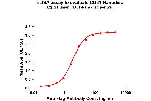 Elisa plates were pre-coated with Flag Tag CD81-Nanodisc (0. (CD81 Protein (CD81))