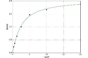 A typical standard curve (GALK1 ELISA 试剂盒)