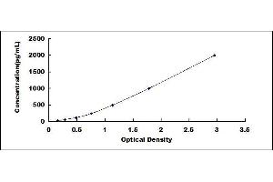 ELISA image for Surfactant Protein D (SFTPD) ELISA Kit (ABIN6730933)