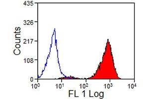 Flow Cytometry (FACS) image for anti-MHC, Class I antibody (ABIN2475584) (MHC, Class I 抗体)