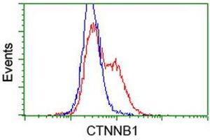 Image no. 3 for anti-Catenin (Cadherin-Associated Protein), beta 1, 88kDa (CTNNB1) antibody (ABIN1496895) (CTNNB1 抗体)