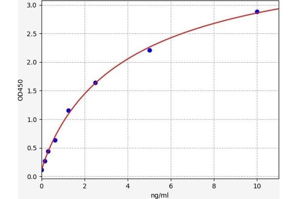 RRM2 ELISA 试剂盒