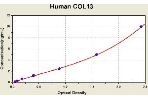 Diagramm of the ELISA kit to detect Human COL13with the optical density on the x-axis and the concentration on the y-axis. (COL-13 ELISA 试剂盒)