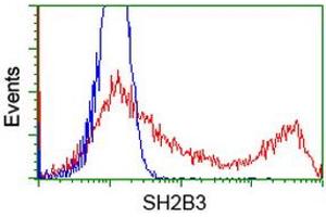 HEK293T cells transfected with either RC218359 overexpress plasmid (Red) or empty vector control plasmid (Blue) were immunostained by anti-SH2B3 antibody (ABIN2454696), and then analyzed by flow cytometry. (SH2B3 抗体)