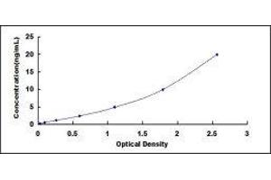 ELISA image for Mucin 5AC, Oligomeric Mucus/gel-Forming (MUC5AC) ELISA Kit (ABIN416432) (MUC5AC ELISA 试剂盒)