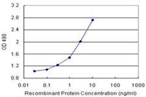 Sandwich ELISA detection sensitivity ranging from 0. (CLIC3 (人) Matched Antibody Pair)