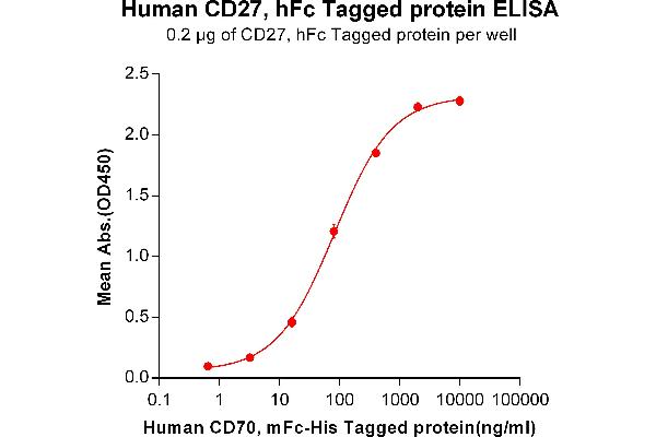 CD27 Protein (AA 20-191) (Fc Tag)