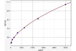 Typical standard curve (CD177 ELISA 试剂盒)