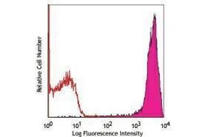 Flow Cytometry (FACS) image for anti-CD90/CD90.1 antibody (PE) (ABIN2663649) (CD90/CD90.1 抗体 (PE))