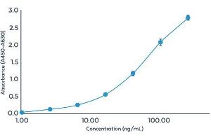 Standard curve (4PL) of the AccuSignal E. (HCP ELISA 试剂盒)