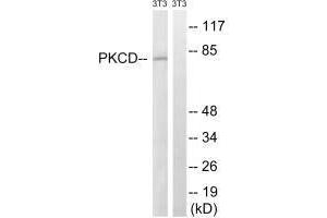 Western blot analysis of extracts from 3T3 cells, treated with EGF (200 ng/mL, 30 mins), using PKCD (Ab-64) antibody. (PKC delta 抗体  (Tyr64))