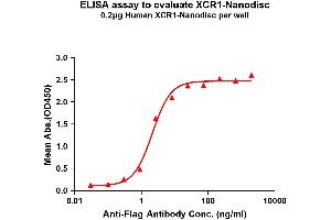 Elisa plates were pre-coated with Flag Tag -Nanodisc (0. (XCR1 蛋白)