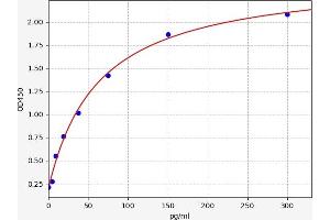 Typical standard curve (Amphiregulin ELISA 试剂盒)