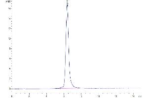 Size-exclusion chromatography-High Pressure Liquid Chromatography (SEC-HPLC) image for CD3E & CD3G (AA 22-117) protein (Fc Tag) (ABIN7274132)