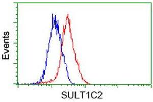 Flow cytometric Analysis of Hela cells, using anti-SULT1C2 antibody (ABIN2454715), (Red), compared to a nonspecific negative control antibody, (Blue). (SULT1C2 抗体)