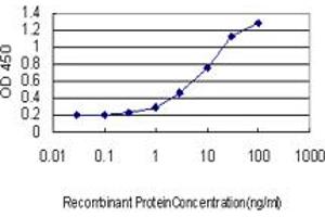 Detection limit for recombinant GST tagged SYNE1 is approximately 0. (SYNE1 抗体  (AA 1561-1670))