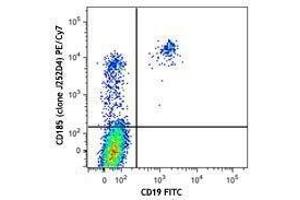 Flow Cytometry (FACS) image for anti-Chemokine (C-X-C Motif) Receptor 5 (CXCR5) antibody (PE-Cy7) (ABIN2659139) (CXCR5 抗体  (PE-Cy7))