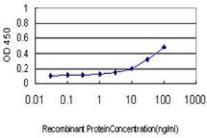 Detection limit for recombinant GST tagged DAZ1 is approximately 1ng/ml as a capture antibody. (DAZ1 抗体  (AA 21-120))