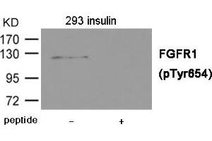 Western blot analysis of extracts from 293 cells treated with insulin using FGFR1 (Phospho-Tyr654) Antibody. (FGFR1 抗体  (pTyr654))