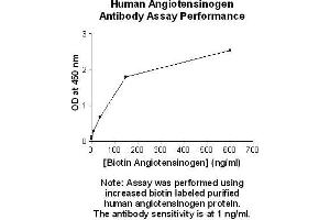 Image no. 1 for anti-Angiotensinogen (serpin Peptidase Inhibitor, Clade A, Member 8) (AGT) antibody (ABIN5567489) (AGT 抗体)