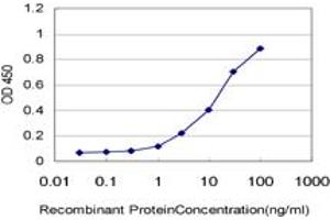 Detection limit for recombinant GST tagged CD34 is approximately 0. (CD34 抗体  (AA 32-141))